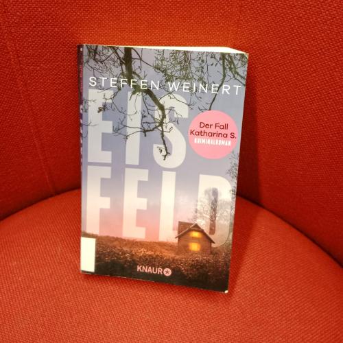 Eisfeld - Steffen Weinert.jpg